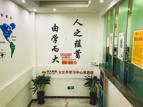 測評 | 藝考結束，文化課培訓機構怎么選？我們去看了這幾家